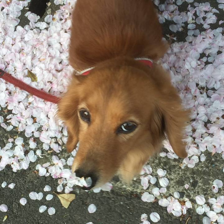 E9cc3f77 f027 4edd a99e 71f1099718f2