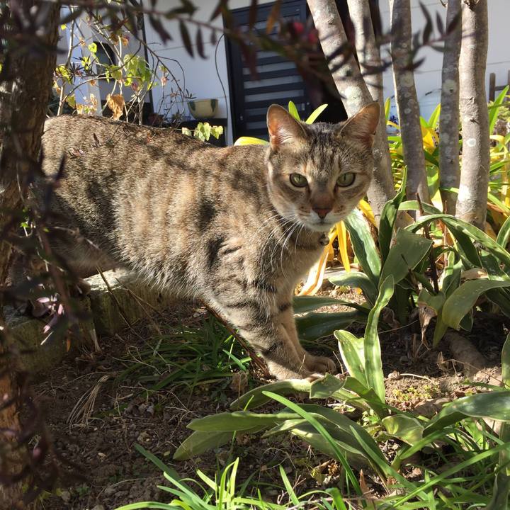 E9cc86b9 7978 4c74 85fa 4346da4b4f7d