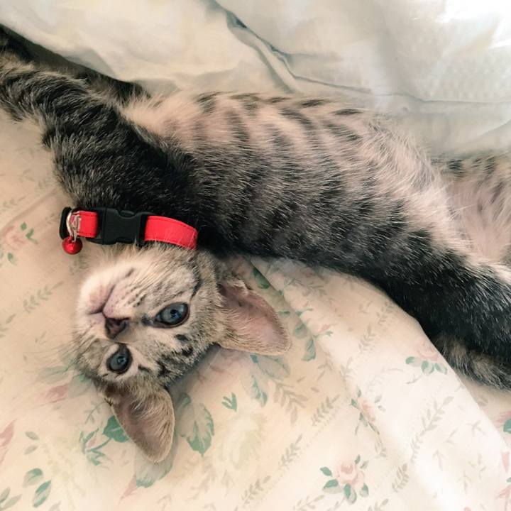 E9ccd844 2769 4de5 988a 07588e4ca51a