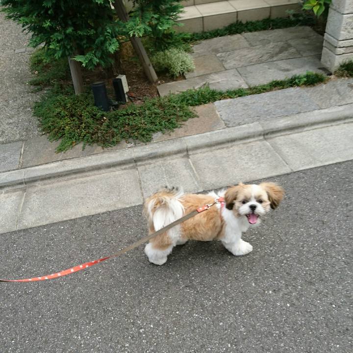 E9cd34d2 b010 4601 8a50 3f87b3b75a9c