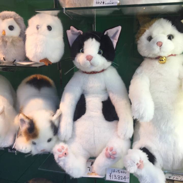 E9cdb3de 9f0b 4fc0 9e82 d4ab585ccae2