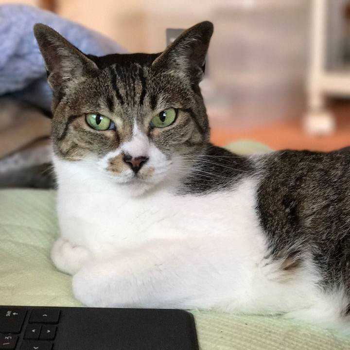 E9cdb5ad bb59 4280 b782 c01bc1b34d43