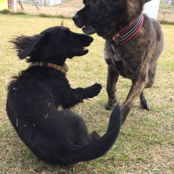 E9cdfb86 7c63 4bc7 89dd 0fc7b7dc6cdc