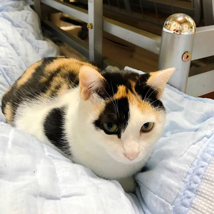 E9ce5d6e 5049 4649 966c de251410cd2d