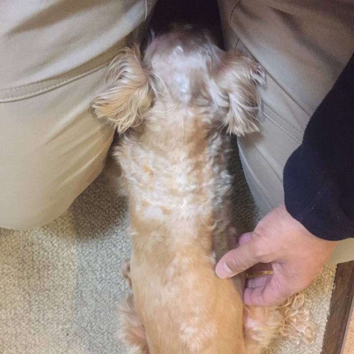 E9d05724 dd24 4d56 b821 b353a845bdf9