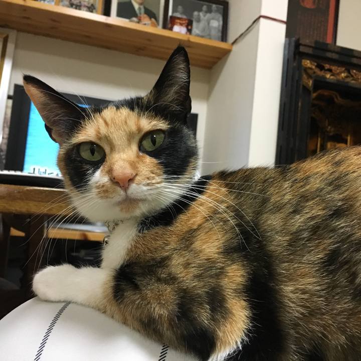 E9d0728f 6ce8 4d03 9243 e80192c6e64d