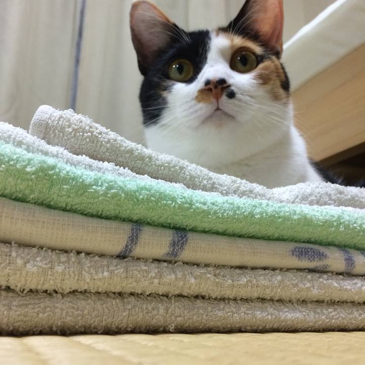 E9d0abfd 9a20 424a bfd1 89befb653128