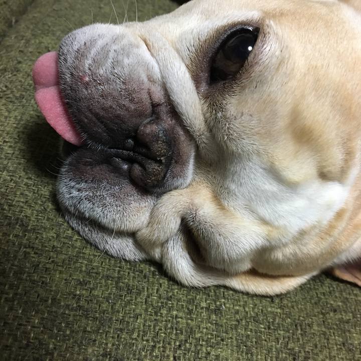 E9d12650 a1a3 42a3 beea 3356c53a2d94