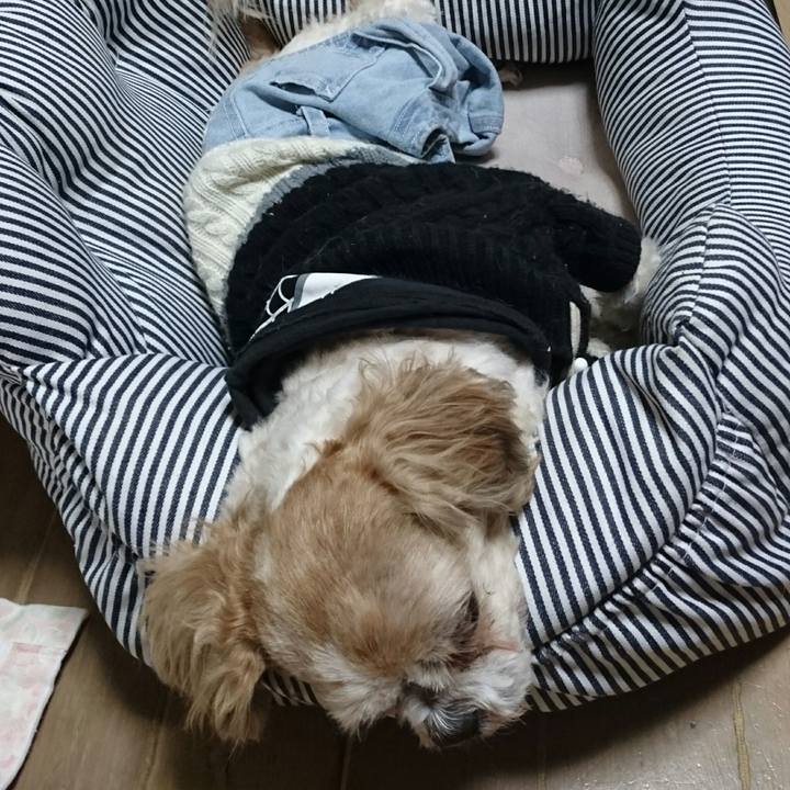 E9d127a8 bc0a 4404 9d62 13ed004a40e3