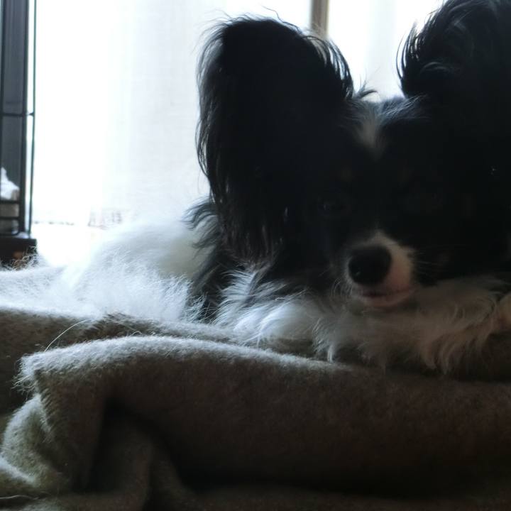 E9d14784 1775 415c 8379 36ba92827af1