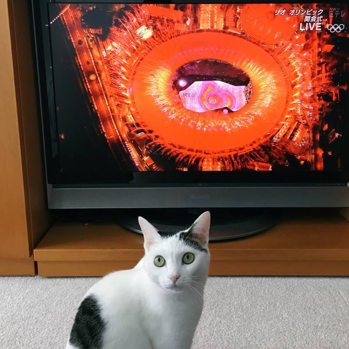 E9d1558a 2ffe 4498 b152 b5eb3b9a97d9