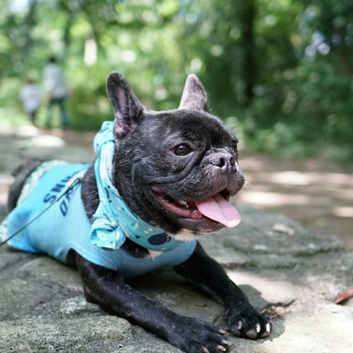 E9d1a1f9 8a92 4e5b bb88 1fe448ff1998