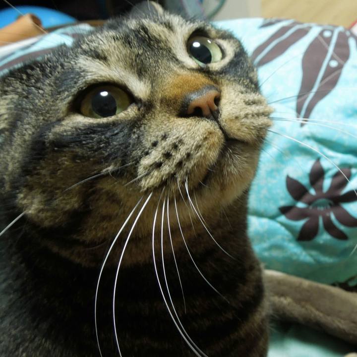 E9d1e017 81d6 495b ad0d 7eb8406c2442