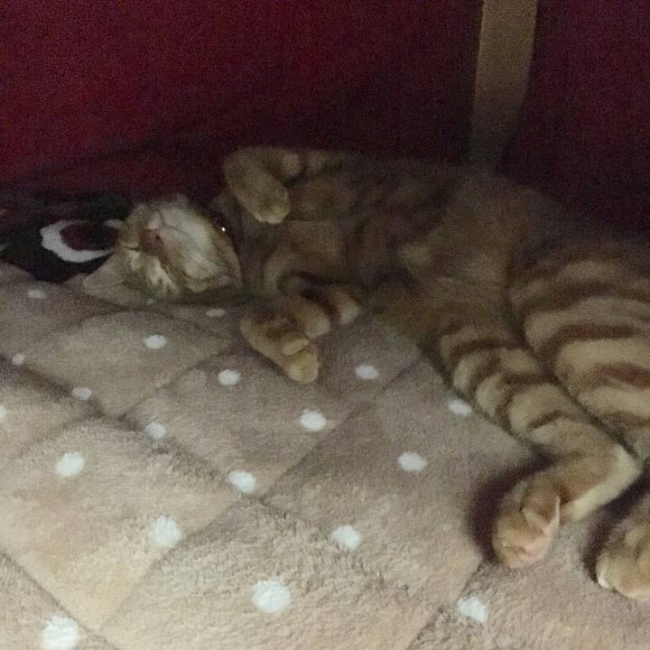 E9d24b61 f6df 43d7 98fd 45264d74d161