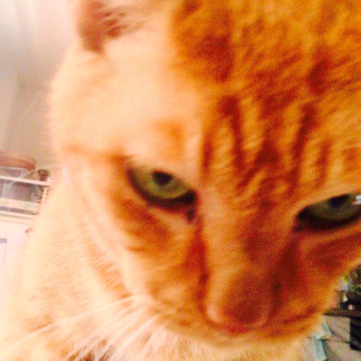 E9d3acae 9040 447c 8f72 3e42b0830db1