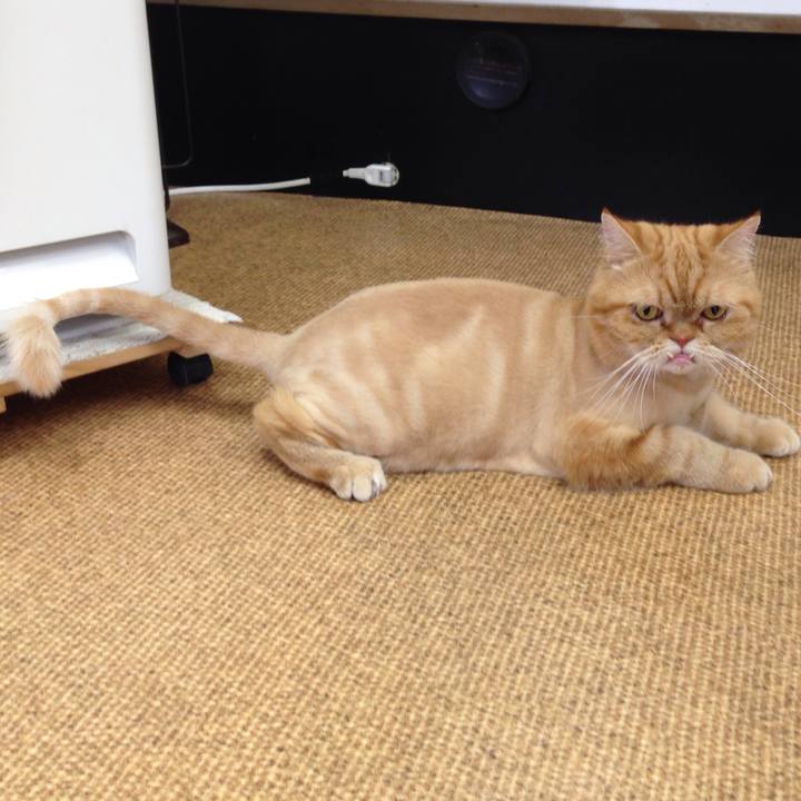 E9d3d630 0c94 4e51 a155 93f4264e349b