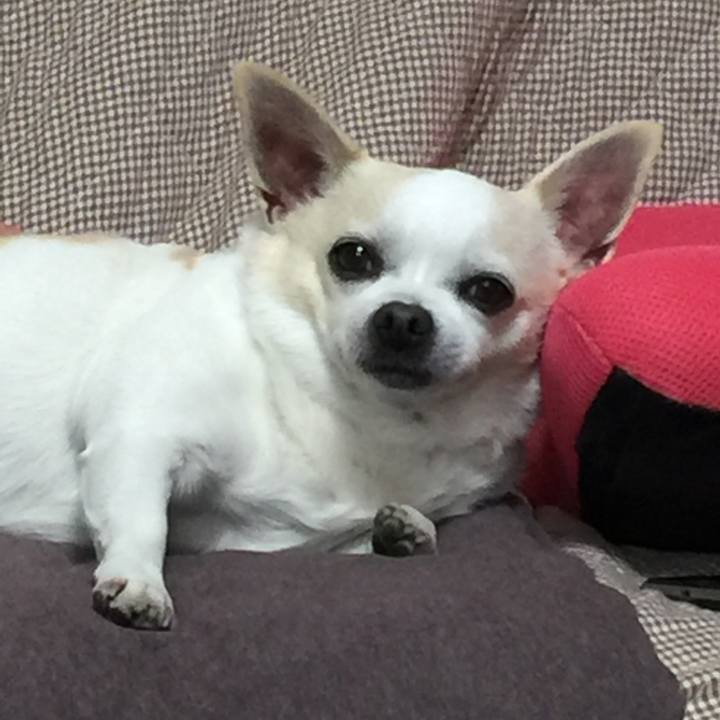 E9d3e349 09dd 45fd 8dbf 2cd621ecc53c