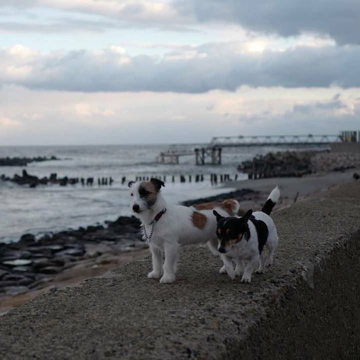 E9d44f47 a532 4f8f a6b6 405c69c553b9