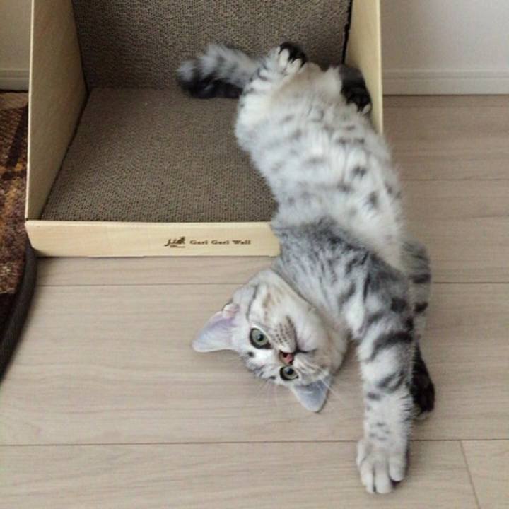 E9d50d6f c2a6 403c 81a7 3f17d81990fe