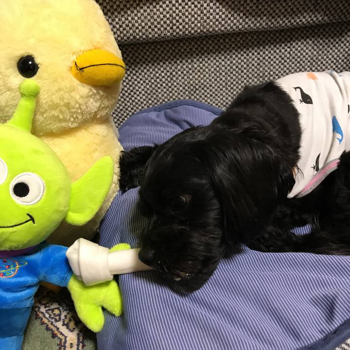 E9d5a662 6d41 46df b9d5 6f36ed223560