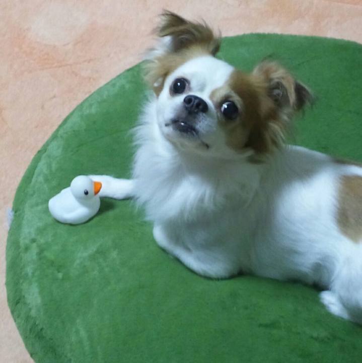 E9d5bde0 7d1c 42bd b346 1c90f456a5b4