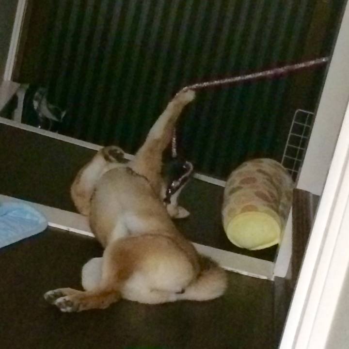 E9d75e62 3351 4b24 a5c5 825e1dbb82af