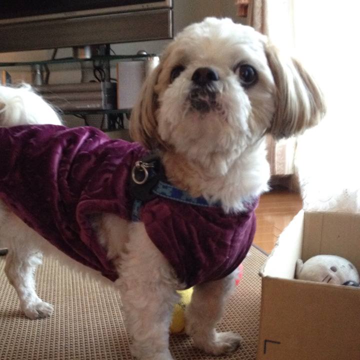 E9d7aba6 6102 4b2e b244 c711dc57c0f3