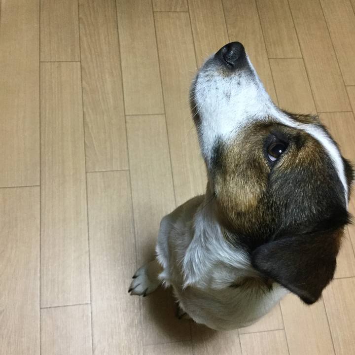 E9d7c14f 5237 40c2 adb5 2fe79a1bf6a9