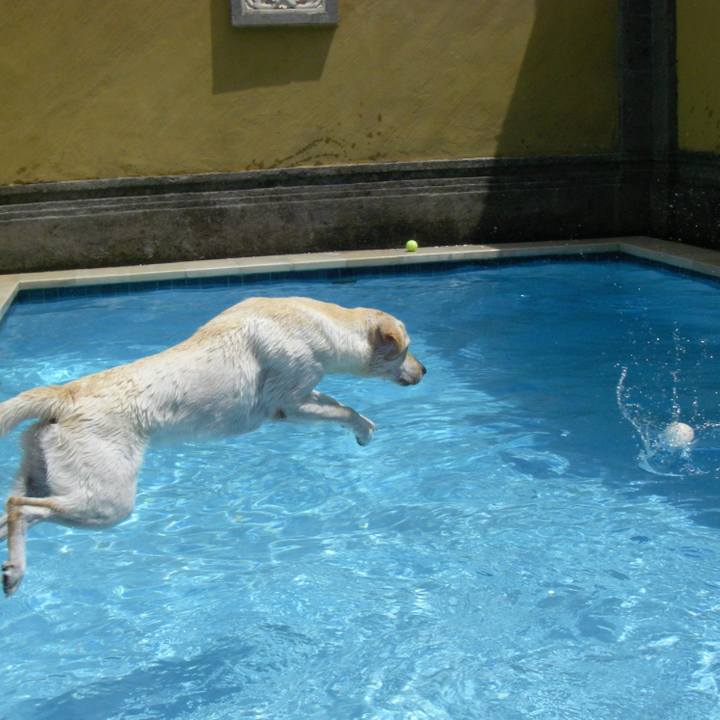 E9d7c46d df85 48d2 97b8 925d80c8de72