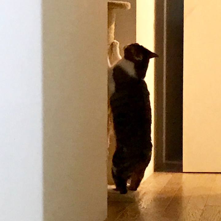 E9d80e6a 0df2 4d7a 9e10 28ecd4e741b0