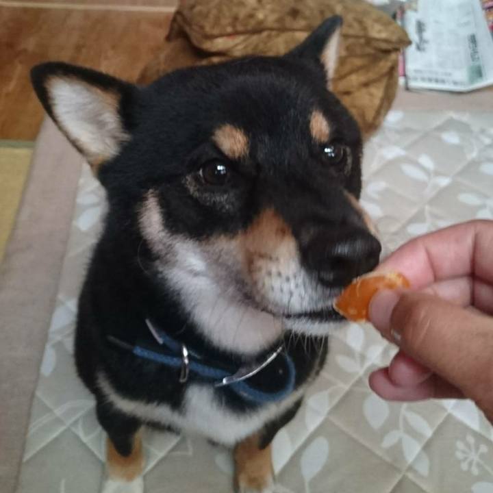 E9d819b5 6f35 45d7 bb8d 457ca04fce61