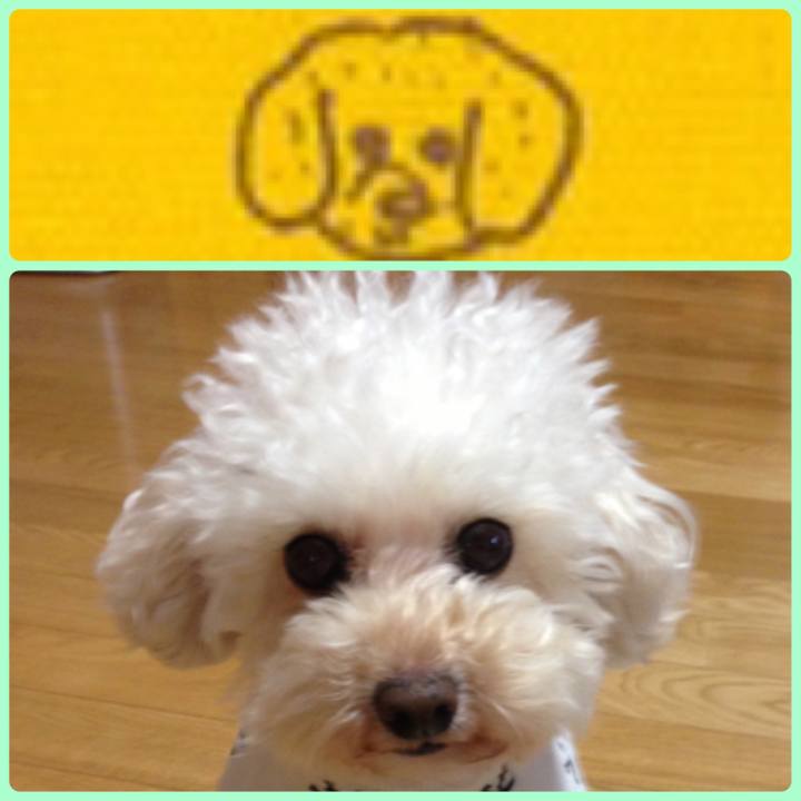 E9d81bb6 a8f6 4c3e 81b4 d83d1e4e1063