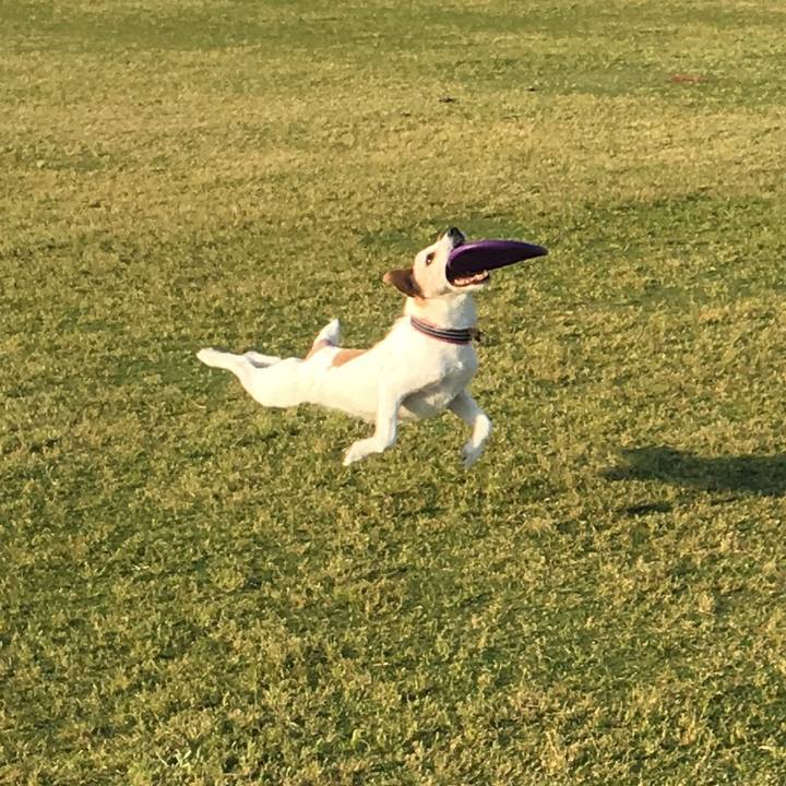 E9d821b8 b31a 4a1a 8fe3 8e733b77e815