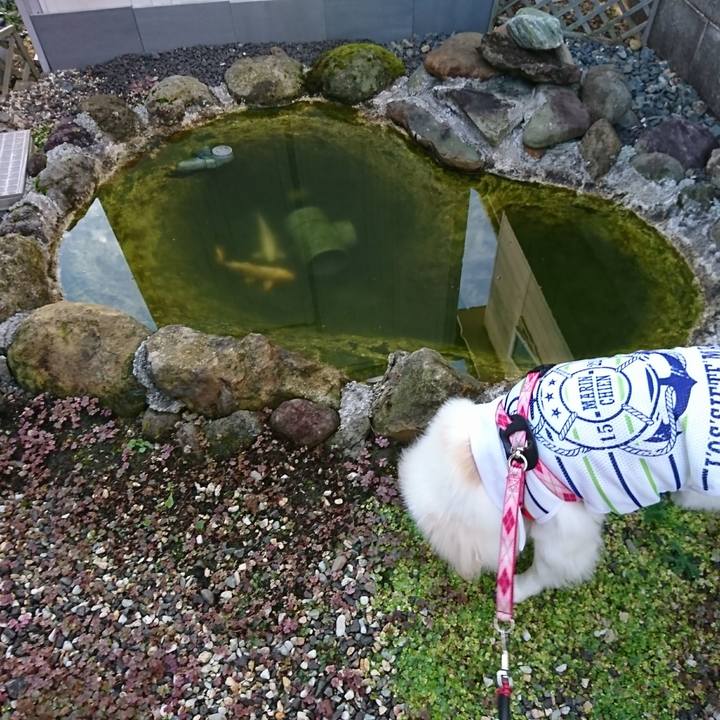 E9d84bca 90f2 485e bafd 5b5d86d0d54a