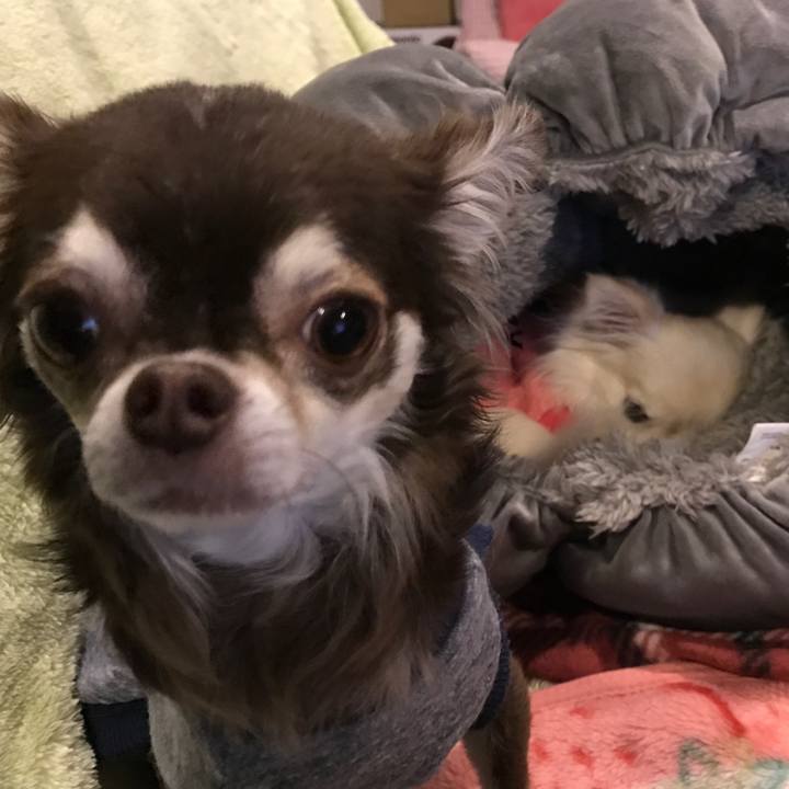 E9d8d100 247b 41ea b75f 55e705c6c25e