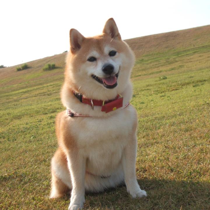 E9d93053 57cc 471e b09e be70dcba5b44