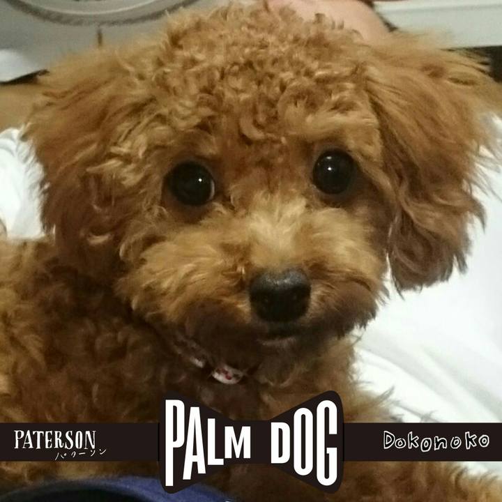 E9d9937e 597f 4213 a7e6 c21c61c4eb13