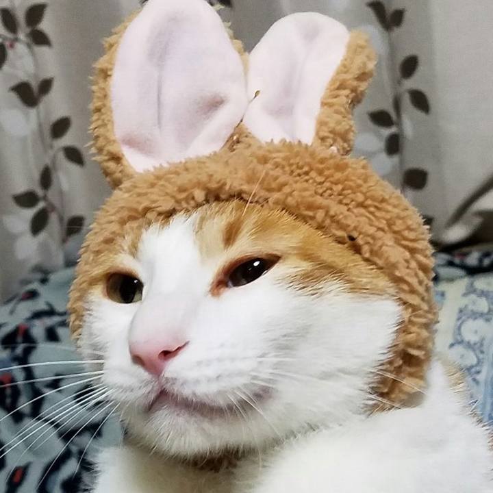 E9d9bb65 4765 47f3 8844 3c7d55f96b51