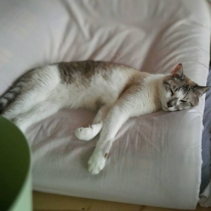 E9d9c57d 96d2 470b 8b9a 9de368b5caeb