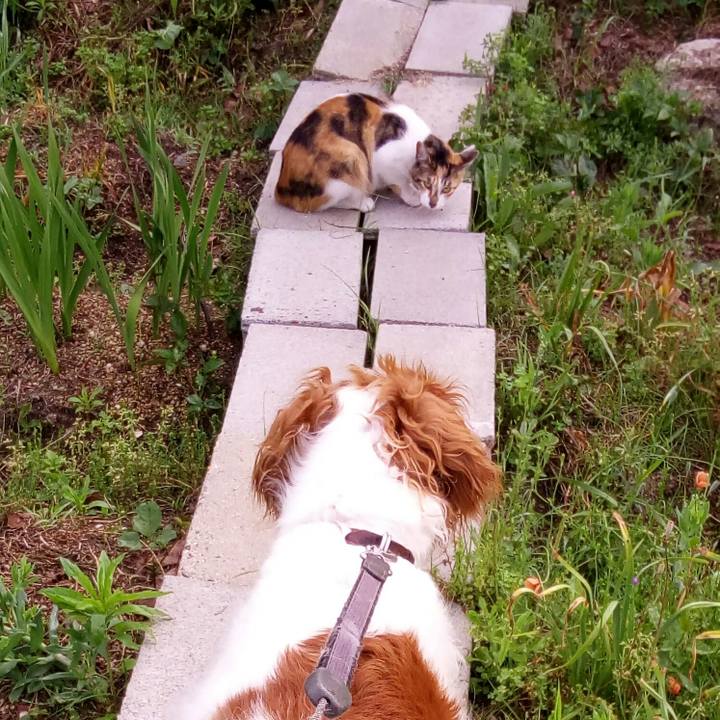 E9d9e176 4757 496e a6fa 112839267ddb