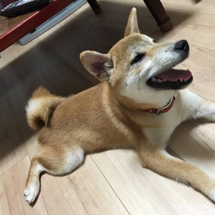 E9da187d 9dfe 4e39 a838 3ad60383f87e