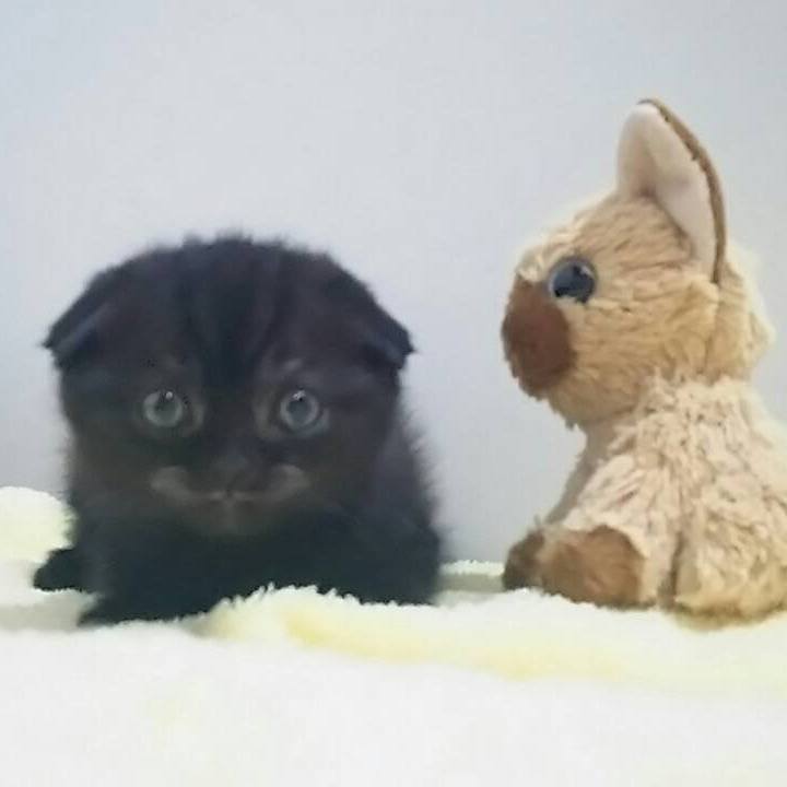 E9db31d2 8725 4342 86e2 4c3558472f98