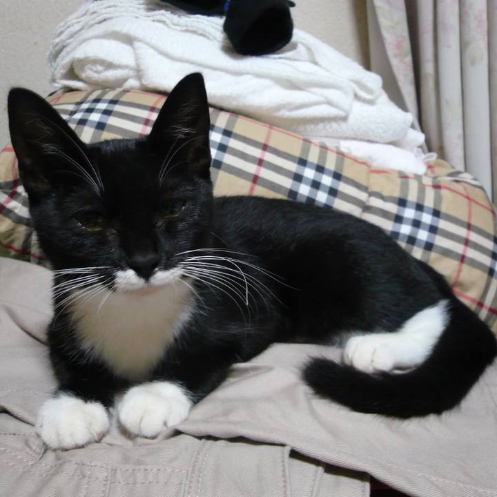 E9db9605 bce9 42bb 82b7 4d721a41ce9c