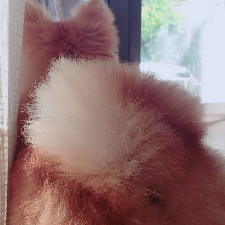 E9dbc434 d3ad 480b a157 ab5db48eca34