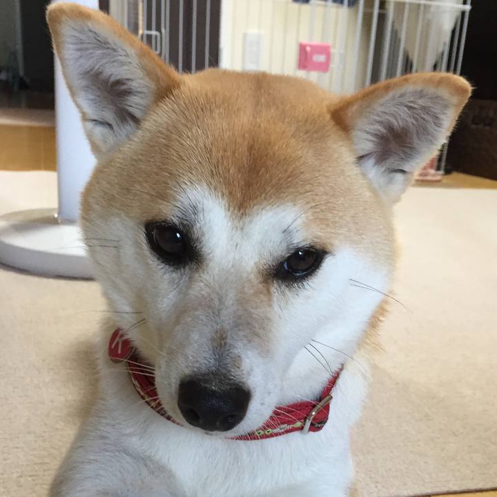 E9dbd79a 8ee1 427a af5f bb6b4e2afea3