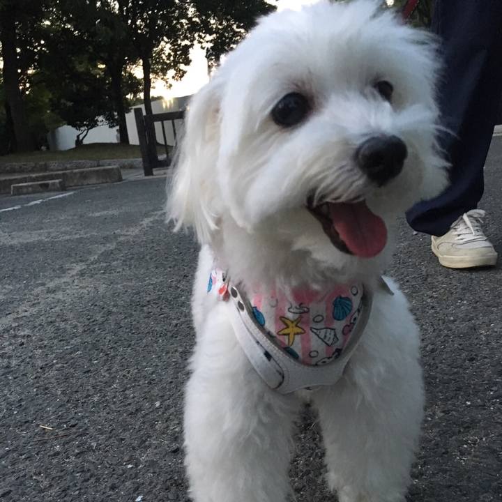 E9dc21bc 0557 4642 b8ea ace1b51b310f