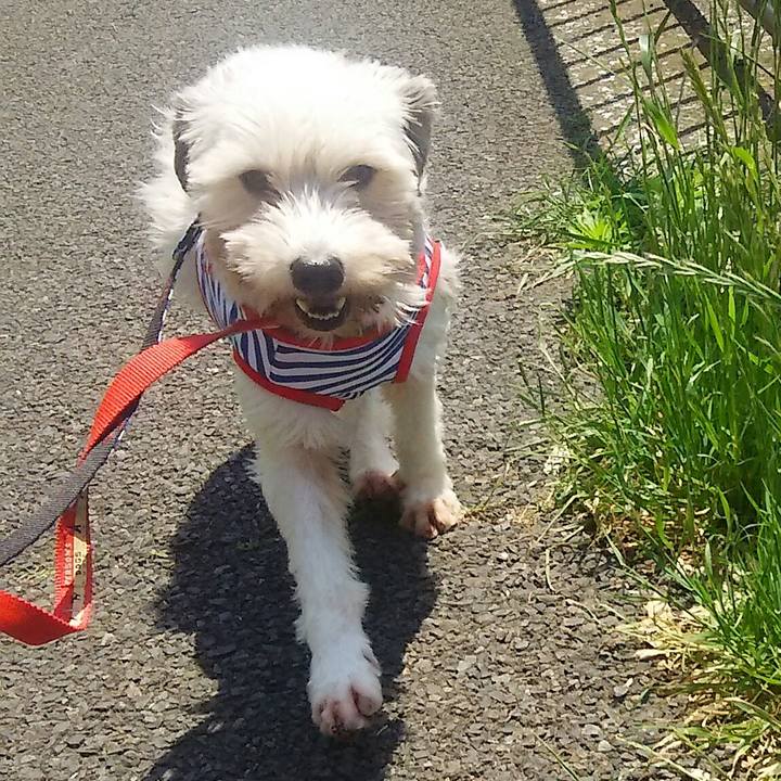 E9dc7510 a80d 40dd 9dd3 926b9c5d48f7