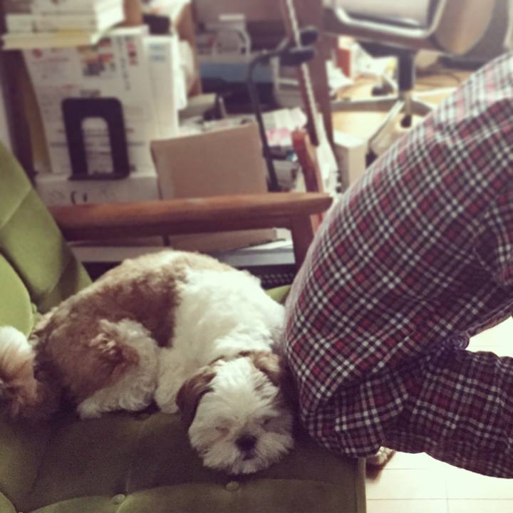 E9de6b57 4414 4d99 b40c 9388195442e2