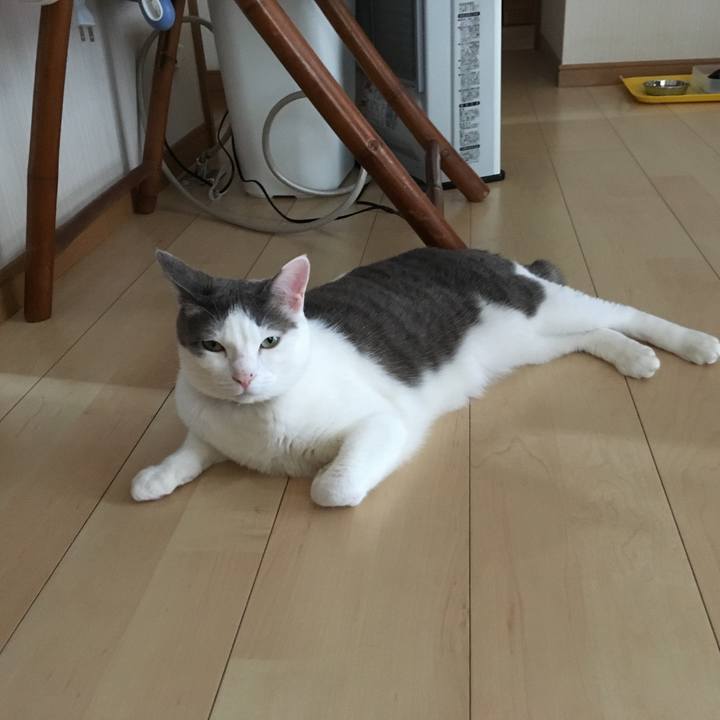 E9de7161 db32 4140 82b7 4de400ea1070