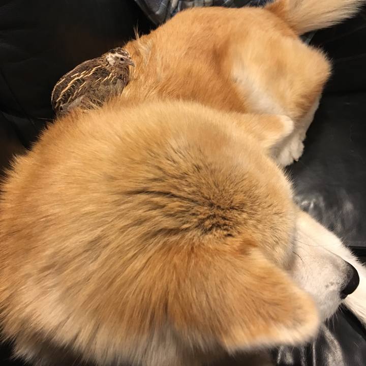 E9df08a0 02f1 440b baf4 7d84a1bf79c8